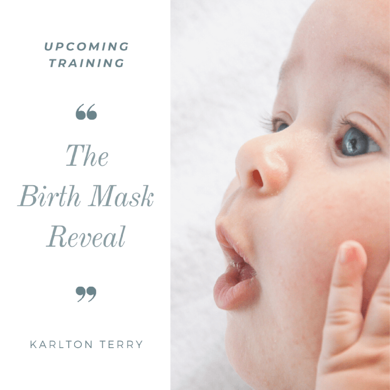 The Birth Mask Reveal Sylvie Geerdens VindeenCoach.nl